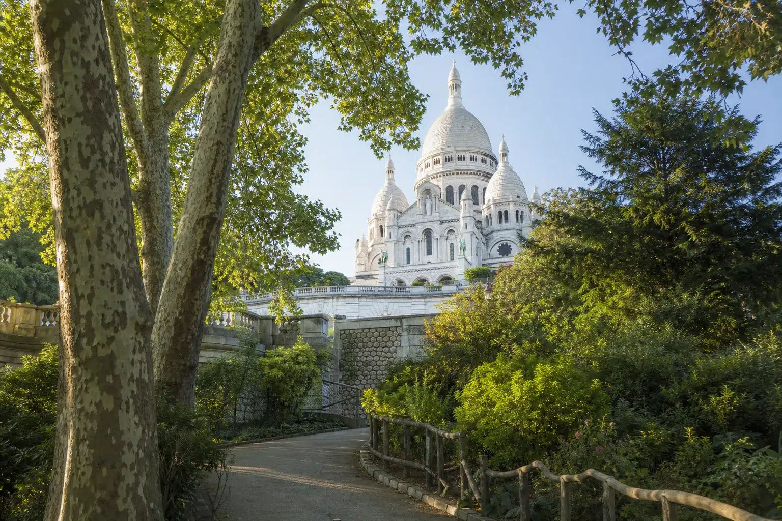 Sacré-Cœur seen from a leafy Montmartre garden